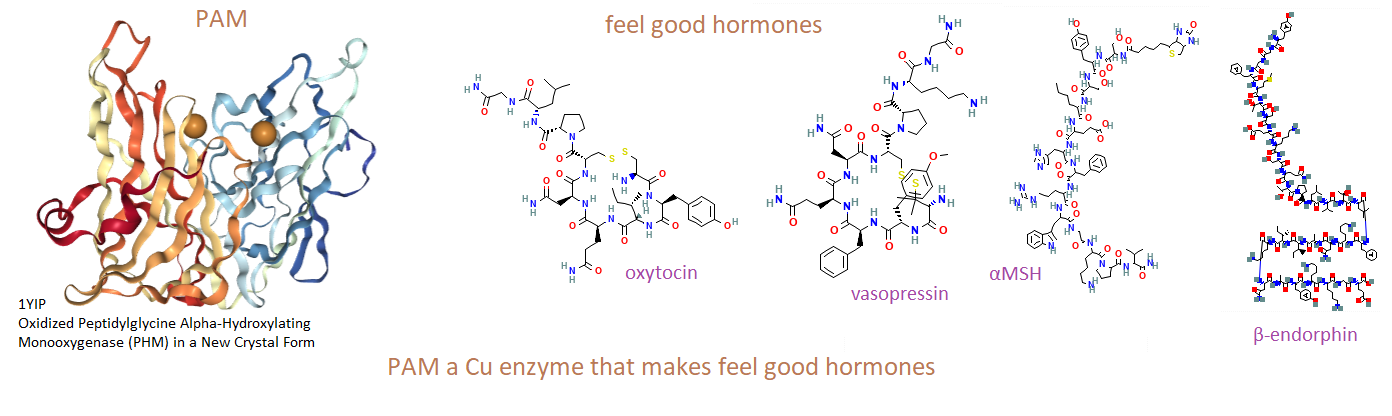 Copper and feel good hormones