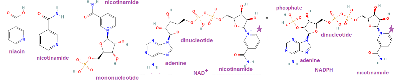 nicotinamide dinucleotide riboside